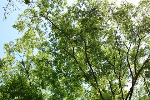 オイルメンテナンスキット オイルメンテナンスキット